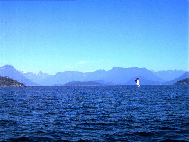 August705.jpg (47015 bytes)