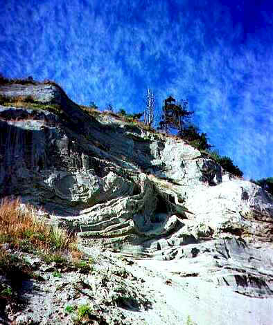 beach.wow.jpg (37435 bytes)