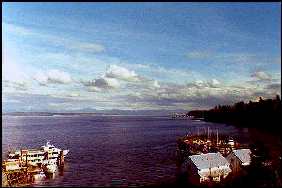 langley.view.jpg (8714 bytes)